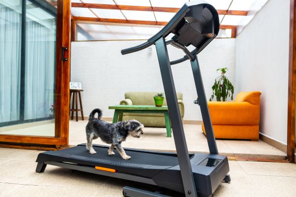 Treadmill Installation in Huntersville