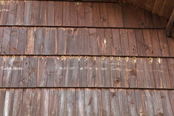Woodpecker Hole Filling in Huntersville