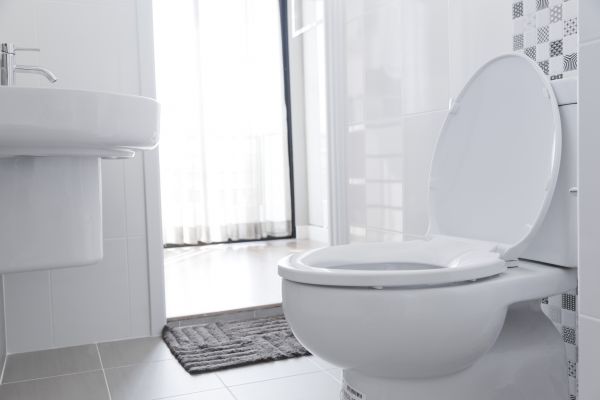Toilet Seat Installation in Huntersville