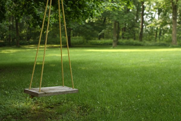 Rope Swing Installation in Huntersville