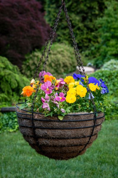 Hanging Basket Installation in Huntersville