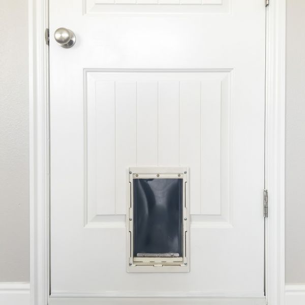 Pet Door Repair in Huntersville