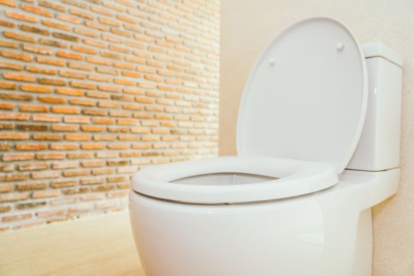 Toilet Seat Repair in Huntersville